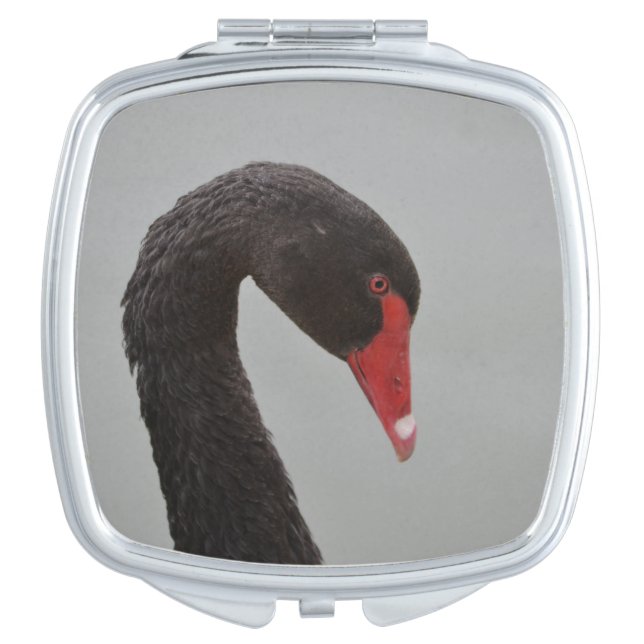 Exotic Black Swan Vanity Mirror (Front)