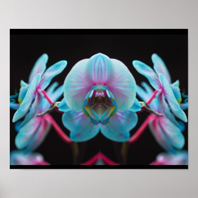 Exotic Blue Orchid Reflection Poster (Front)