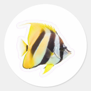 Exotic Butterfly Fish - Vibrant Coral Reef Beauty Classic Round Sticker