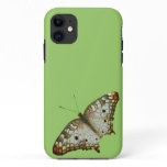 Exotic Butterfly from St. Lucia iPhone 11 Case
