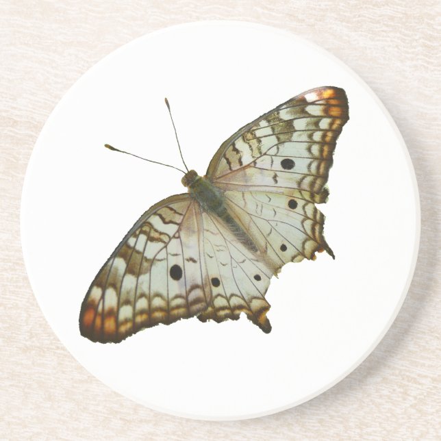 Exotic Butterfly from St. Lucia Drink Coaster (Front)
