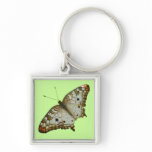 Exotic Butterfly from St. Lucia Keychain