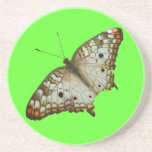Exotic Butterfly from St. Lucia Sandstone Coaster
