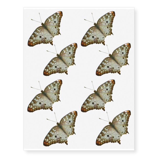 Exotic Butterfly from St. Lucia Temporary Tattoos (Front)