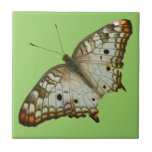 Exotic Butterfly from St. Lucia Tile