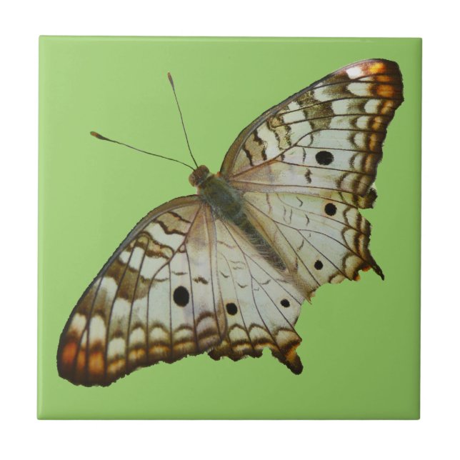 Exotic Butterfly from St. Lucia Tile (Front)