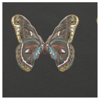 Exotic Butterfy Art Drawing