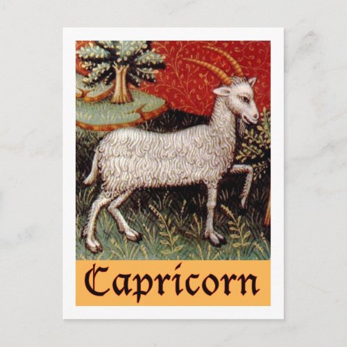 Exotic Capricorn Zodiac Sign Postcard