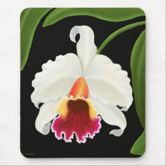 Exotic Cattleya Orchid Flower Mouse Pad
