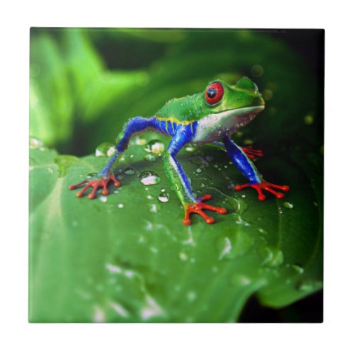 Exotic Colorful Frog Leaf Ceramic Tile