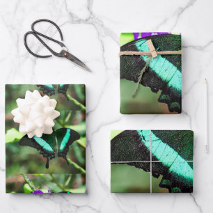 Exotic Emerald Swallowtail Wrapping Paper Sheets