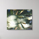 Exotic Fish Pond Canvas Print