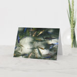 Exotic Fish Pond Card
