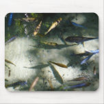 Exotic Fish Pond Mouse Pad