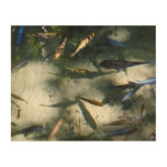 Exotic Fish Pond Wood Wall Decor