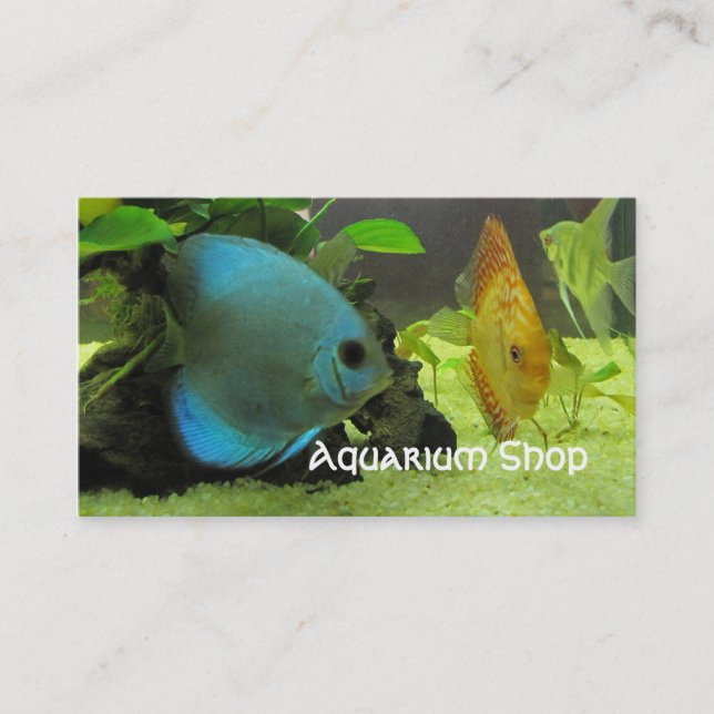 Exotic Fish Shop Business Card (Front)