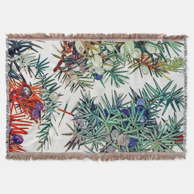 Exotic Flora #7 at SunshineDazzle Throw Blanket (Front)