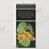 Exotic Floral Arrangement Flower Delivery (Back)