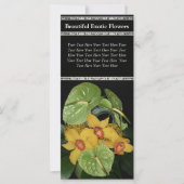Exotic Floral Arrangement Flower Delivery (Front)