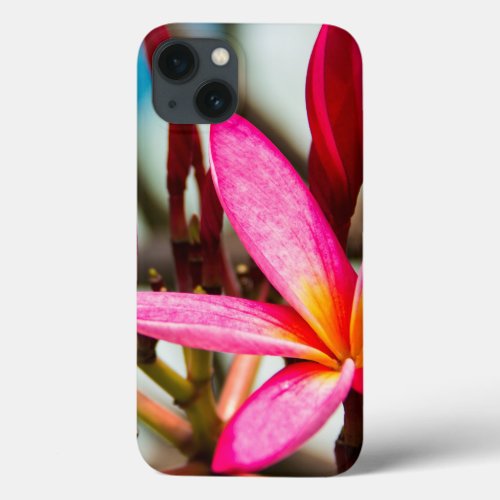 Exotic flower background plumeria blooms iPhone 13 case