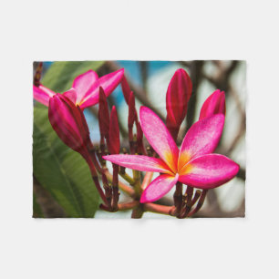 Exotic flower background plumeria blooms fleece blanket