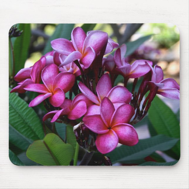 Exotic flower, Mousepad (Front)