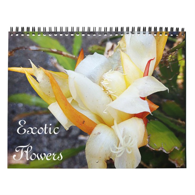 EXOTIC FLOWERS calendar (Cover)