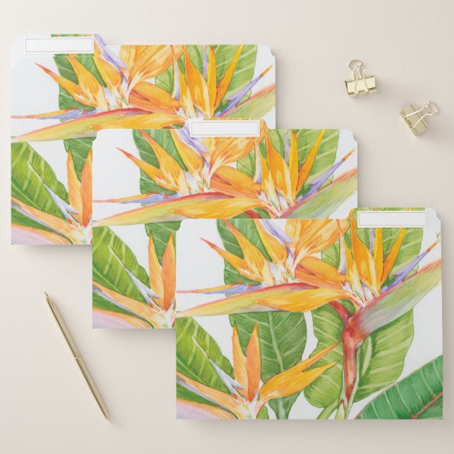 Exotic Flowers Watercolor File Folder (Set)