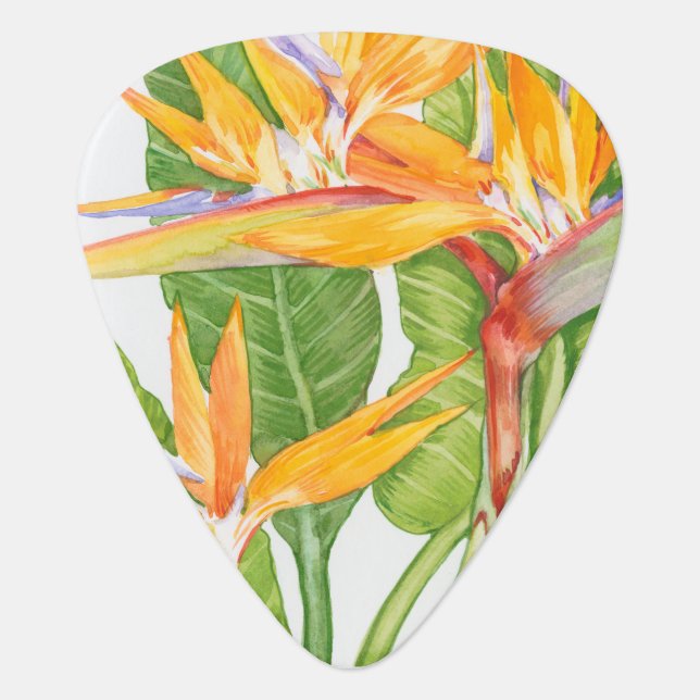 Exotic Flowers Watercolor Guitar Pick (Front)