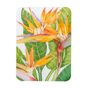 Exotic Flowers Watercolor Magnet