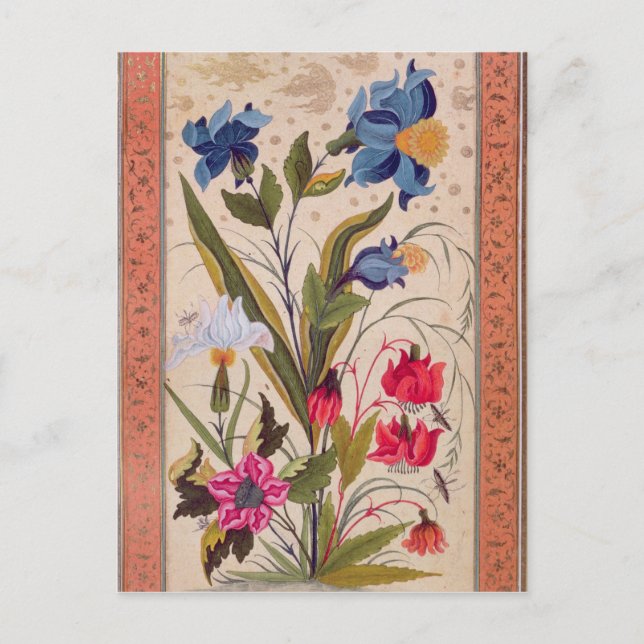 Exotic flowers with insects postcard (Front)