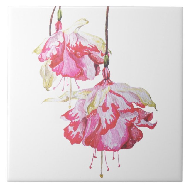 Exotic Fuchsias on a Ceramic Tile (Front)