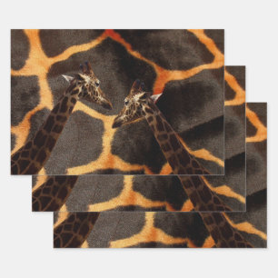 Exotic Giraffes, Gift Wrap Set