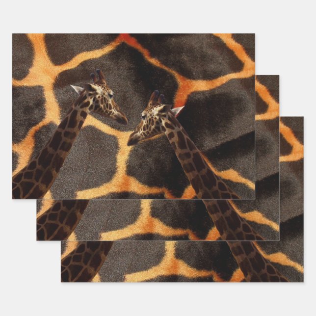 Exotic Giraffes, Gift Wrap Set (Set)