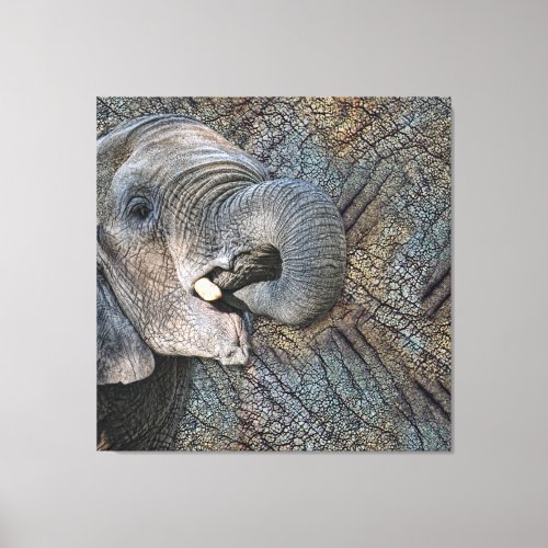 Exotic Grey Elephant Leather Camouflage Animal Canvas Print