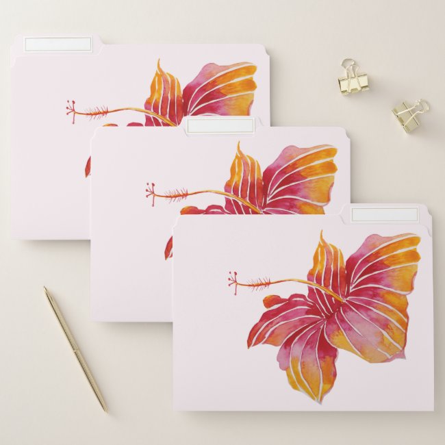 Exotic Hawaiian Hibiscus Flower