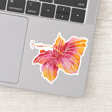 Exotic Hawaiian Hibiscus Flower
