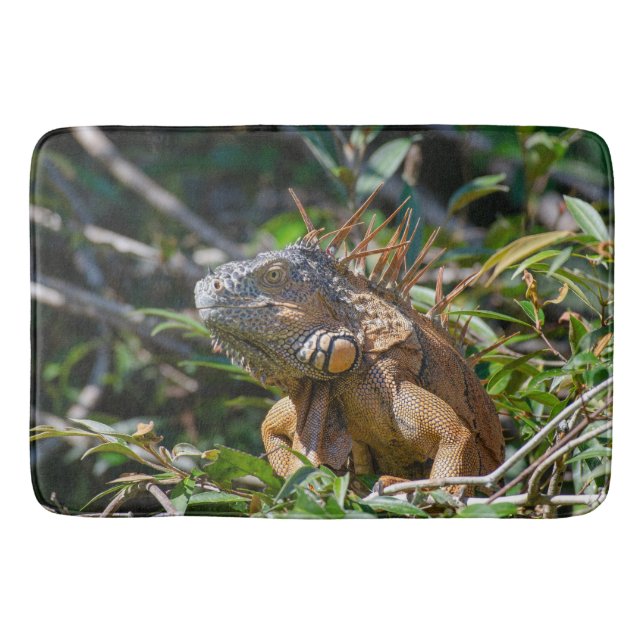 Exotic Iguana, Belize Photography Bath Mat (Front)