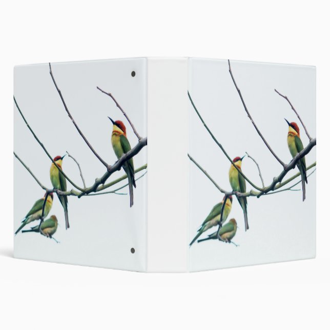 Exotic Indian kerala Bee-Eater Birds on Branch 3 Ring Binder (Background)