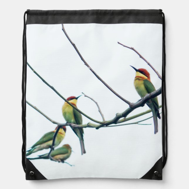 Exotic Indian kerala Bee-Eater Birds on Branch Drawstring Bag (Front)