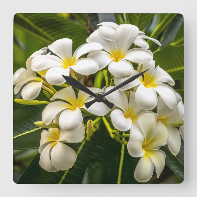Exotic Island Plumeria Clock (Front)