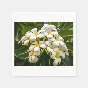 Exotic Island Plumeria Cocktail Napkin