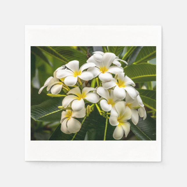 Exotic Island Plumeria Cocktail Napkin (Front)