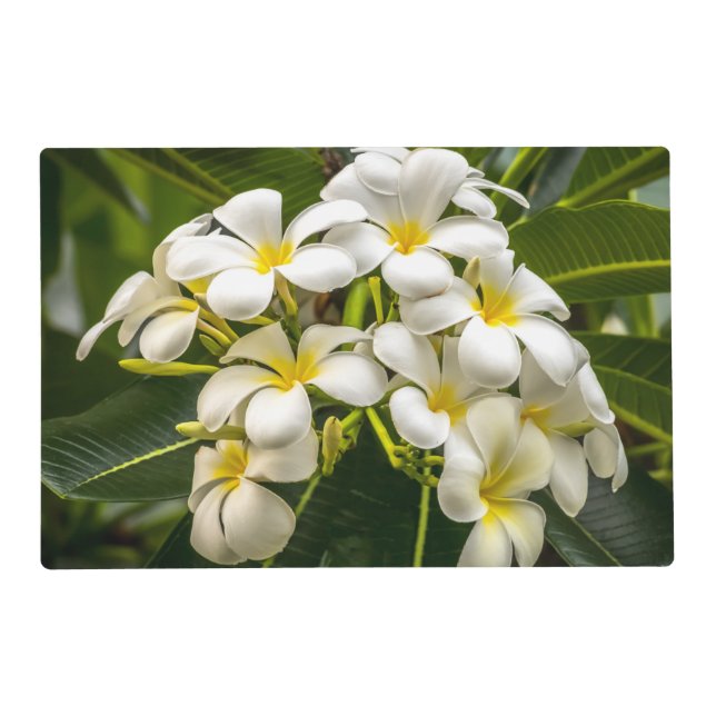 Exotic Island Plumeria Laminated Placemats (Front)