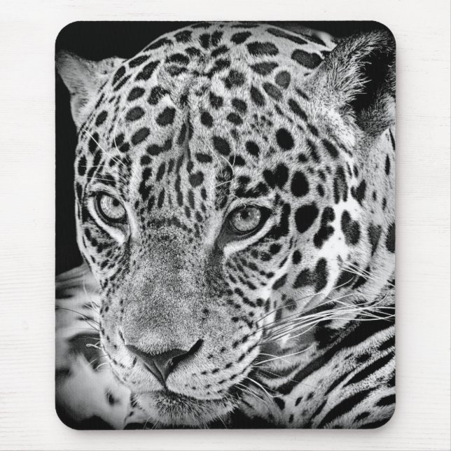 Exotic Jaguar Mouse Pad (Front)