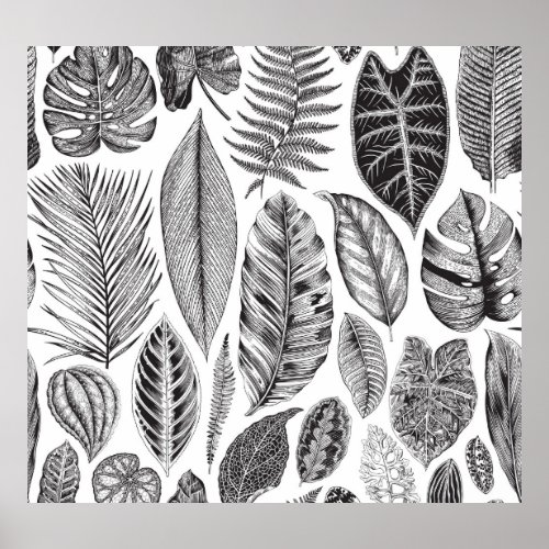 Exotic leaves vintage floral black and white poster