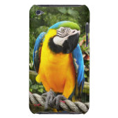 Exotic Macaw Parrot iPod Touch Case (Back)