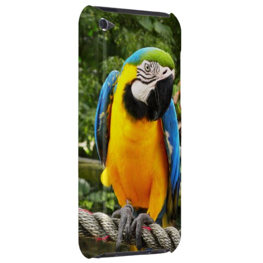 Exotic Macaw Parrot iPod Touch Case (Back/Right)