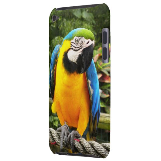 Exotic Macaw Parrot iPod Touch Case (Back Left)