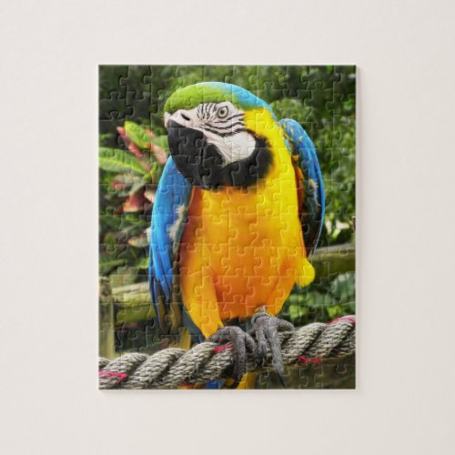 Exotic Macaw Parrot Jigsaw Puzzle